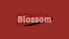 Blossom Hair & Beauty Salon